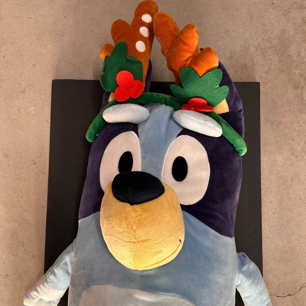 Bluey embrace holiday